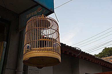 治愈系VR游戏《魔法花园》登陆奇遇3，免费下载！